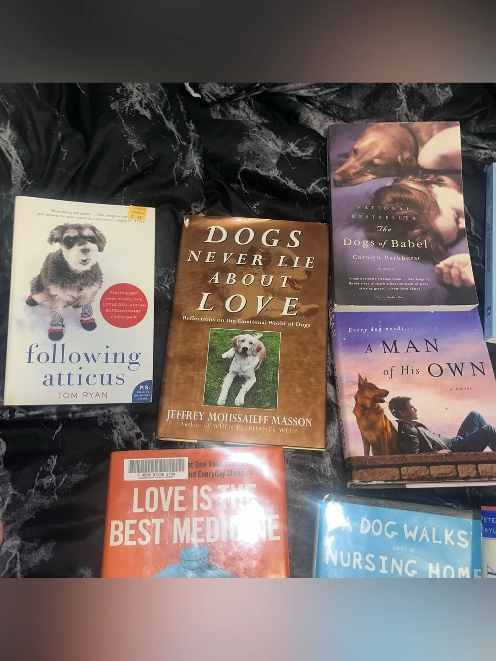 12 Assorted Dog lover Books Collection old lily and the octopus a man of his own